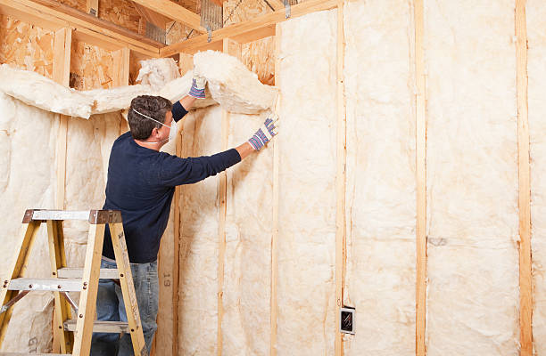 Professional Insulation Removal & Installation in White Pigeon, MI